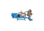 Booster/Liquid Ring Vacuum Pumping Systems