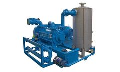 Booster/Rotary Piston Vacuum Pumping Systems