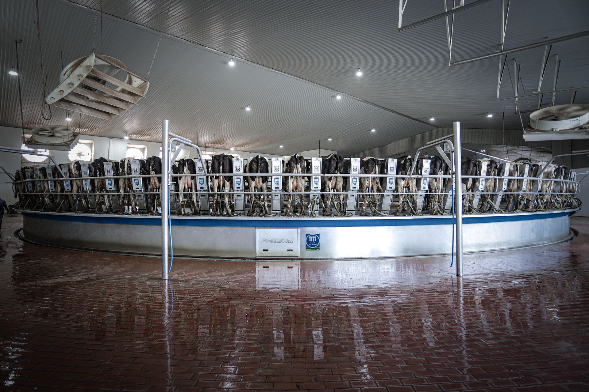 Madero Dairy Systems Inc.