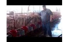 Dura Dump Calf Watering System Video