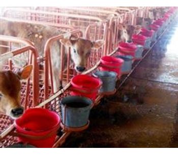 Dura Dump - Calf Watering System