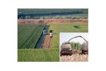 Agronomy and Crops Services