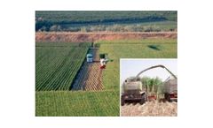 Agronomy and Crops Services