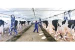 DeLaval - Stanchion Milking Systems