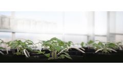 Actagro - Productive Soil Ecosystem