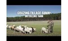 Grazing Tillage Sunn on Collins Farm - Fresh from the Field Interview Video