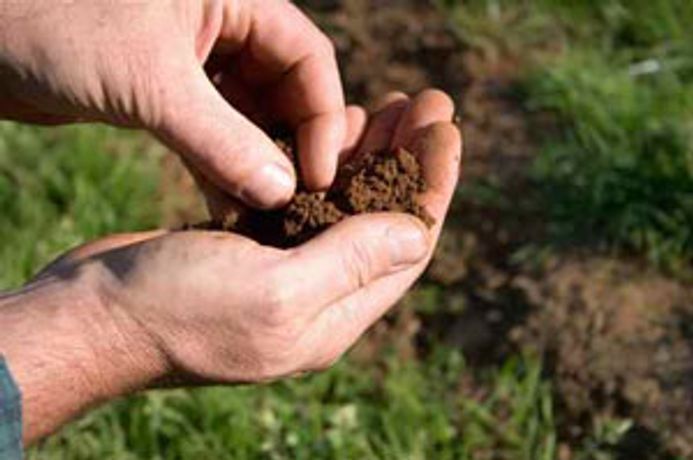 Soil Testing Services