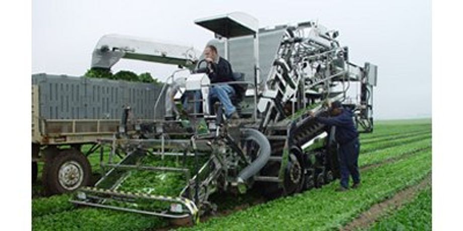 Ramsay - Spinach/Spring Mix Mechanical Harvester