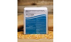 Avitrol - Whole Corn Regular Strength Whole Corn