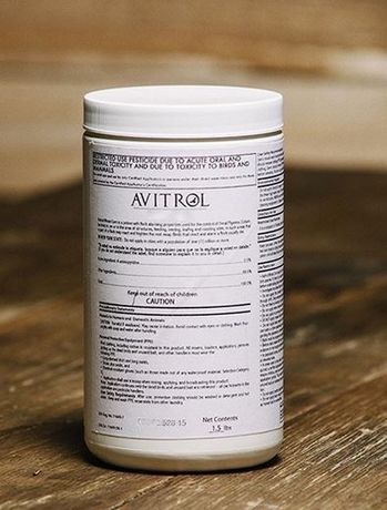 Avitrol - Whole Corn Jar