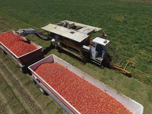 Tomato Harvester-1