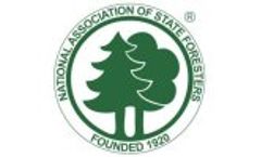 American Forest Foundation`s Tom Martin on the Forest Stewardship Program - Video