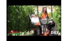 Leaf-strippers Defogliatrice DRF Rinieri 2015 Video
