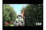 Pruning machine Potatrice CRF Rinieri 2015 Video