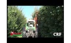 Pruning machine Potatrice CRF Rinieri 2015 Video