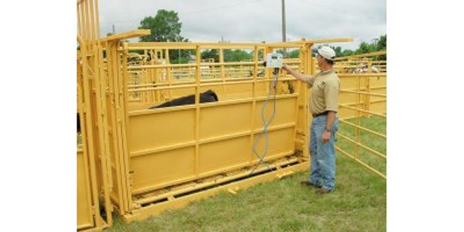 For-Most - Single Animal Scale Cage