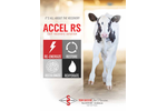 Accel RS Brochure
