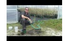 Planting an Olive Tree with Georgia Olive Farms Video