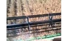 Deere Twin Row Bean Harvest - Video
