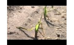 Model Sure-K - Liquid Fertilizers Video