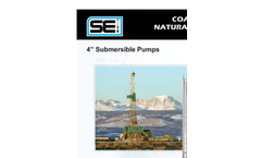 4` Coal Bed Natural Gas Pump Brochure