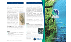 Nutralive - Artemia Live Feed Brochure