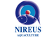 Nireus Group