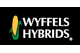Wyffels Hybrids Inc.