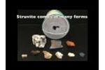 What is Struvite? Video