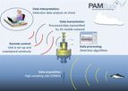 PAMBuoy - Marine Mammal and Marine Noise Monitoring System