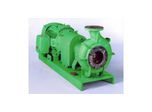 ANSI Pumps