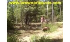 Brush Ox- Video