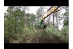 FX36 Defender Forestry Mulcher In Action Video