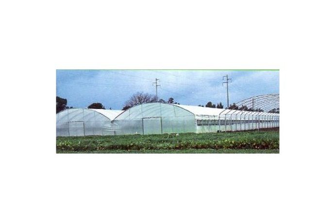 Greenhouses for Tobacco Plants