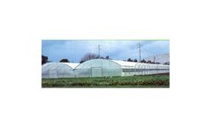 Greenhouses for Tobacco Plants