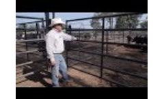 Priefert Cattle Working System Demo Video