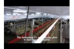 Automated feeding systems - Robotic feeding - Valmetal -Video