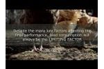 Aromas to Increase Feed Intake in a Commercial Layer Farm - Video