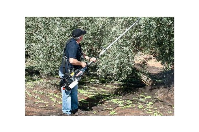 Cifarelli - Model SC800 - Olive Harvesting Machine
