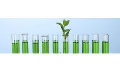 Bio-Based Platform Chemicals