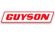 Guyson Corporation