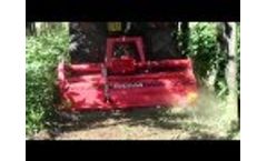 Vineyard tillage with RD Sicma rotary tiller Video