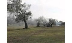 Storm 1000 Single Combined Head Spray Olive Trees -Video