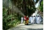 Tifone Crawler Date Palm Trees Video
