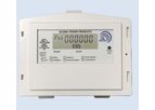 GPP - Mini Smart Revenue-Grade Electric Meter