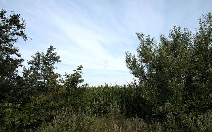 Small Wind Turbine-1