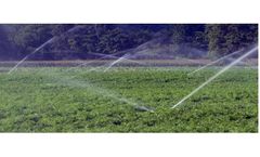 Effective Cleaning of Plumbing & Disinfection of Water for Alfalfa