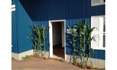 Effective Foliar Application on Corn