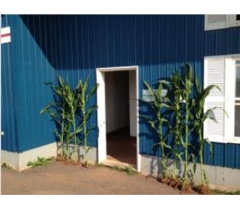 Effective Foliar Application on Corn - Agriculture