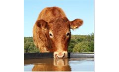 Effective Cleaning of Plumbing & Disinfection of Water for Livestock Operations